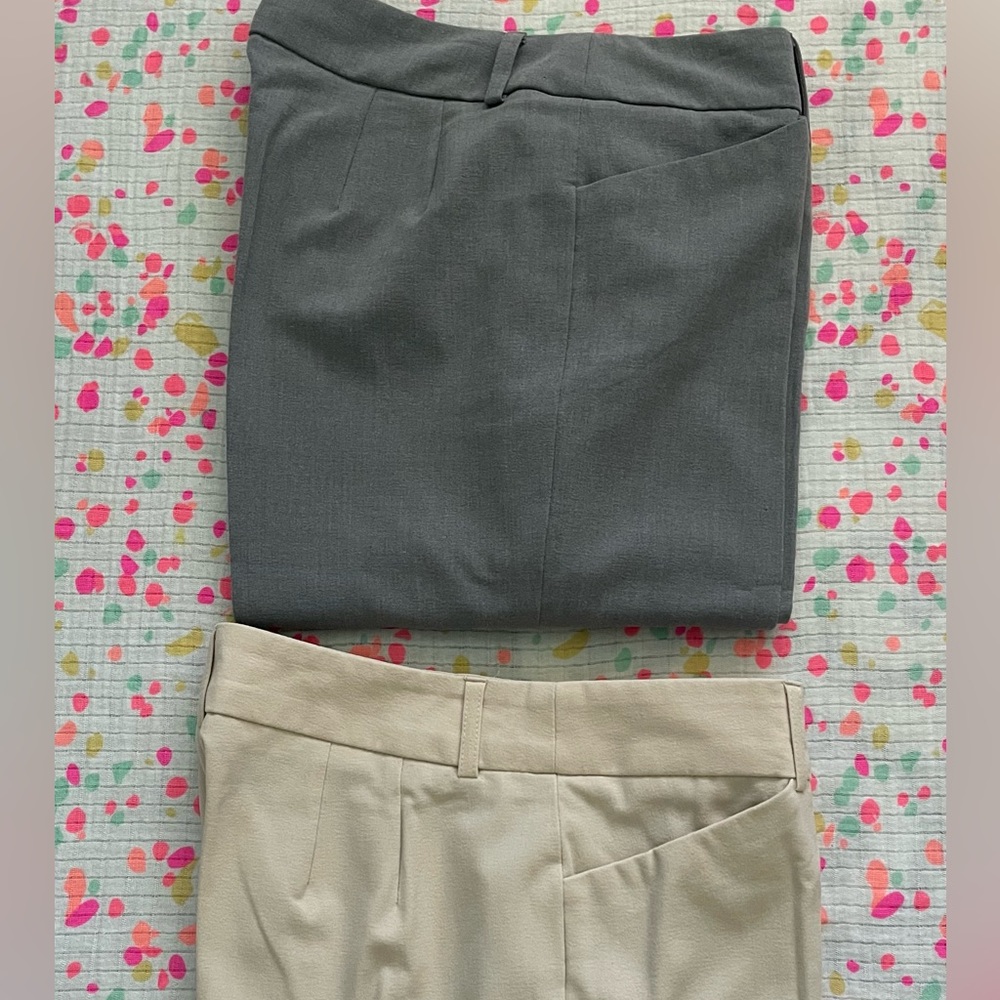 Bundle Apostrophe Stretch Dressy Pants